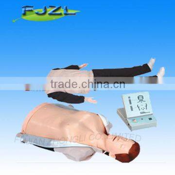 human Half-Body Cpr Training Manikin model