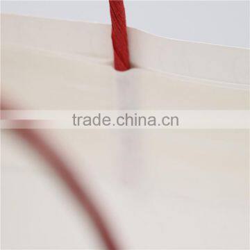 2016 Promotional Shopping Gift Kraft Paper Bags Twisted Handle for Shopping Bags photo-3