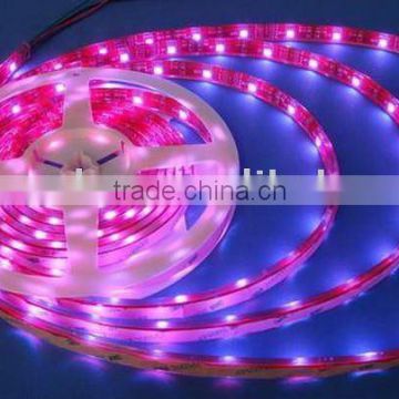 Waterproof Led strip light