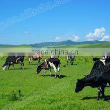 Full Automatic Fresh Milk Vending Machine/ Milk Dispenser Machine For 150L/Milk Atm IC Card And Coins Acceptor photo-2