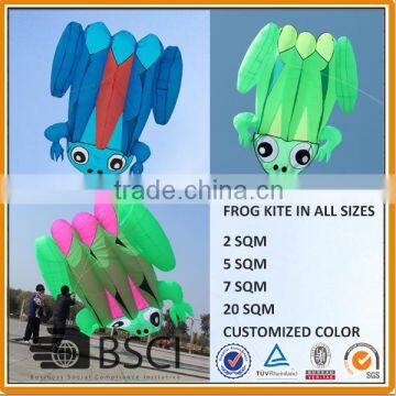 2 5 7 20 SQM Lifter, Pilot kite, FROG KITE, from the Kite factory