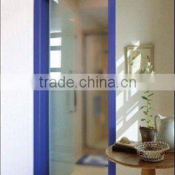 glass patch fitting door