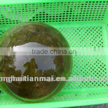 memerial,magic natural crystal ball