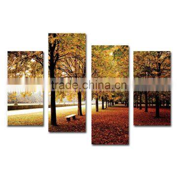 Beautiful streetscape yellow tree canvas prints for living room