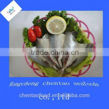 Fish Frozn Mackerel Horse Mackerel Fillet Price