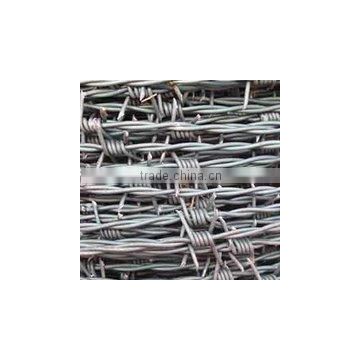 galvanized babed wire