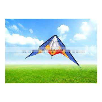 Dual Line Delta Stunt Kites - Straight Edge Kites