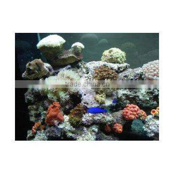 Bule Color 311nm 14w t5 Reptile Uvb Lamp