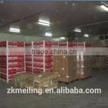 -70 to -80C Cold Storage Room photo-4