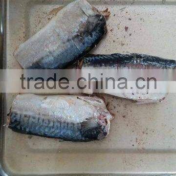 Wholesale Top Quality Canned Mackerel Best OEM photo-3
