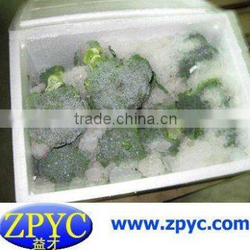Fresh Broccoli
