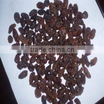 Washed top quality brown raisin