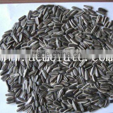 sunflower seeds suppliers