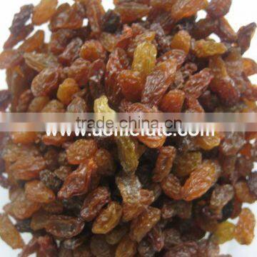 Best Price Red Raisin From China photo-4