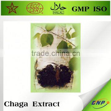 Wholesale Nutritional Supplement Chaga