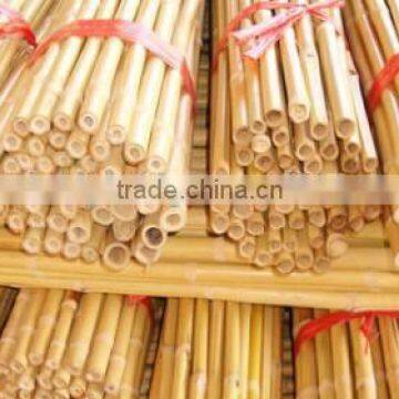 Variosu Size Bamboo Poles photo-6