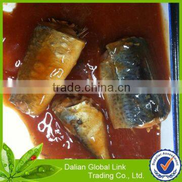 Xiamen Canned Mackerel in tomato sauce