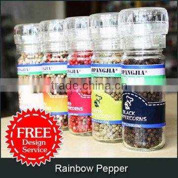 Rainbow Pepper