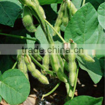 organic fertilizer for soybean