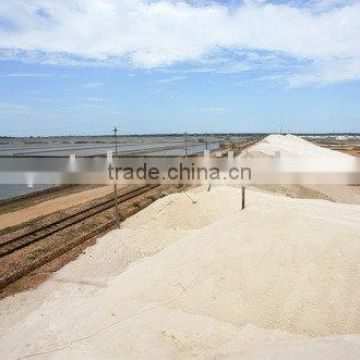 Deicing salt on road and street