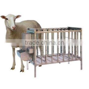 Stainless Steel Cage-Sheep