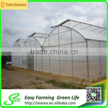 Greenhouse Seal PC Sheet for Commercial photo-2