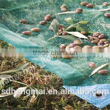 China Direct Factory HDPE / Longterm Usage/ Olive Net photo-6