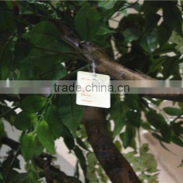 Home Garden Deco 50cm to 400 cm Hight Artificial White Large Chinese Wistaria EDHS1501 1607 photo-5