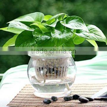 OEM Self Watering Window Hydroponics Plastic Flower Pot photo-4