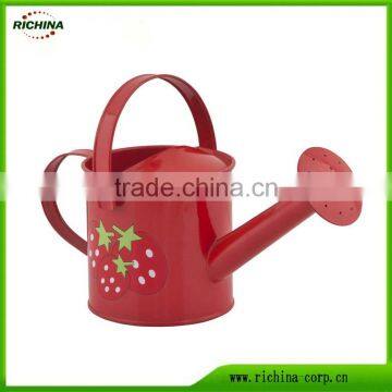 Galvanized Metal Watering Can, colorful, made in china