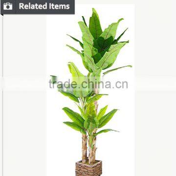Indoor Home Decorative Artificial Bonsai Tree for Sale and for Hotel and House Landscape photo-4