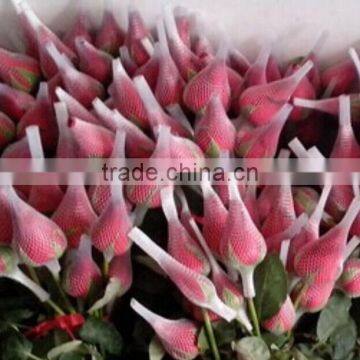 Flower Bouquets Sleeves photo-4