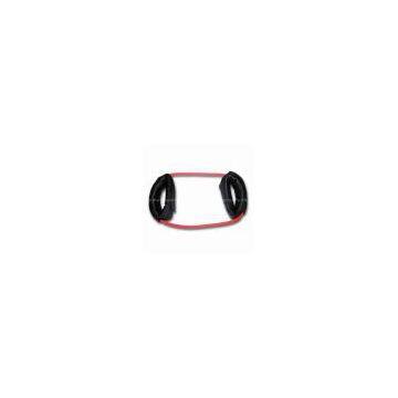 Ankle/Resistance Band