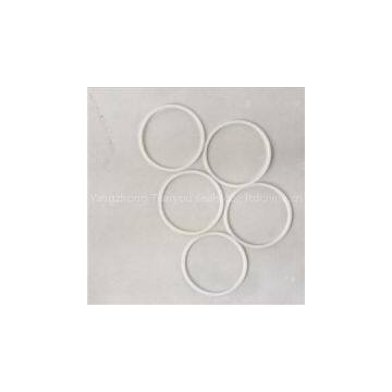 PTFE Backup Ring