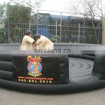 2013 Hot inflatable wrestling ring for sale