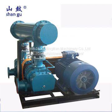 Supply MJSR Series Roots Blower for Lime Kiln in Steel Plant photo-4