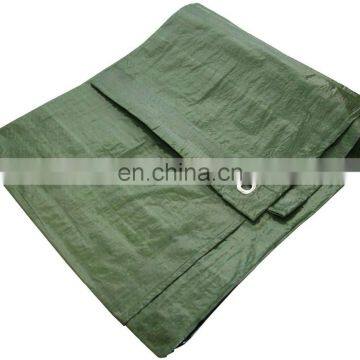 12 x 8ft Tarpaulin - Oliver Green