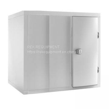 Customized Mini Cold Storage Mobile Cold Room Freezer