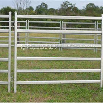 Cattle Panel