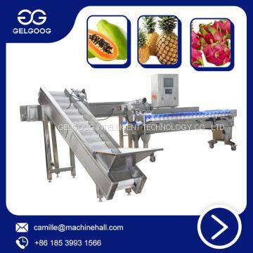 Multifunctional Weight Classifier Machine Automatic Fruit &Vegetable Weight Sorting Machine