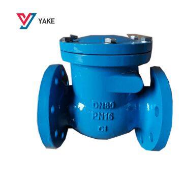 Cast Iron CLASS 150 LB Flange Swing Check Valve photo-5