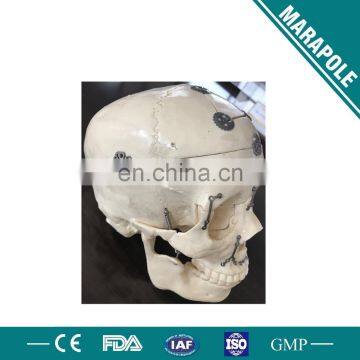 Titanium Cranial Plate, Cranial Screw photo-5