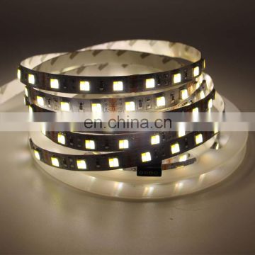 Flexible CCT Adjustable Two Color Temperature 12V LED Light Strip for Home Bedroom Kitchen