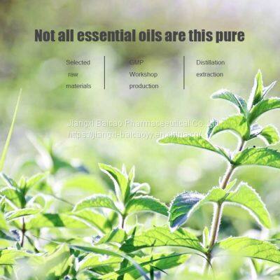 Natural Peppermint Oil Massage Essential Oil New Fresh Mosquito Repellent Refreshing Analgesic Skin Care photo-4