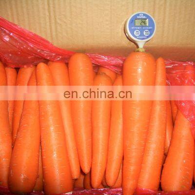 Sinocharm 2022 New Crop Fresh Carrot photo-4