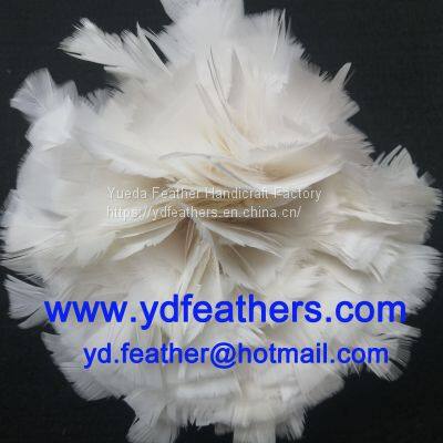 White Parried Turkey Flat Plumage Strung from China