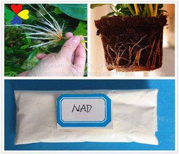 Plant Growth Regulator Organic Fertilizer 1-Naphthyl-acetamide 98%TC Take Rooting Series photo-3