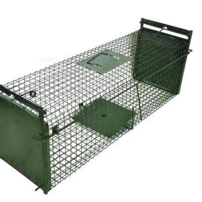 Piège à animaux pliable pour l'entrée à double porte, cage pour capture vivante d'opossums, chats et autres animaux pliable