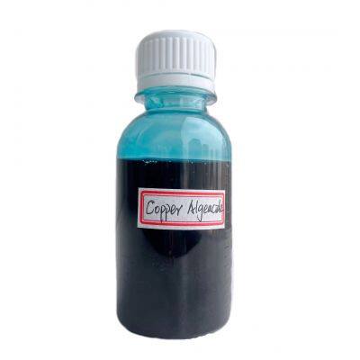 Copper Pool Algaecide for Swimming Pool 90 Day Algaecide for Inground Pool to Prevent and Remove Pool Algae photo-2