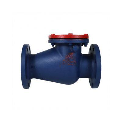 PN16 PN10 Cast Iron Ductile Iron GG25 GGG50 Large Diameter Flange Swing Check Valve Hard Seal Check Valve photo-6